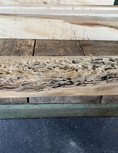 Burl maple for woodturners