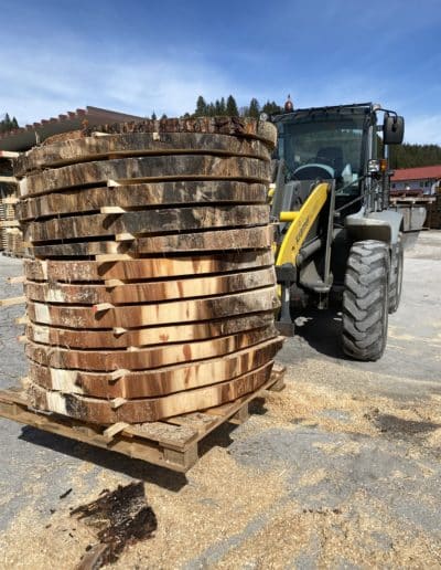 Poplar round logs on wheel loader